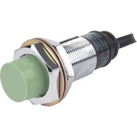 }XdƁ@I[gjNX@~^cbQߐڃZT