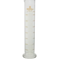 柴田科学 SIBATA メスシリンダー カスタムA 3000mL