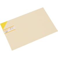 ヒカリ 光 エンビ板 黄 1×300×450mm