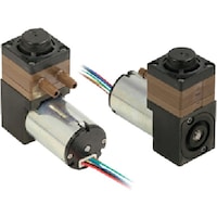 �����H��@�����@���^�t�̃_�C�A�t�����|���v