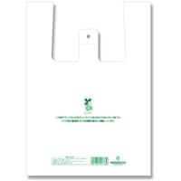 VW}@gdhjn@W܁@oCInhnCp[@ٓp@@POO