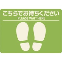 qTS@ghr`fn@tAUV[@Op@ł҂@lp@O[