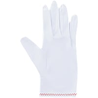 アズワン AS 品質管理手袋 ナイロンダブル L 10双