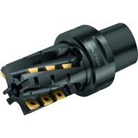 ワルタージャパン Walter ポーキュパインカッターボディ