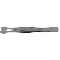 AlbNXc[@AlbNX@XeXsZbg@SH@؎p