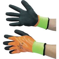 xm܍HƁ@xm܁@EH[nhhh܁@kk