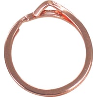 RebN@jnmsdb@w܂ɂ₳L[O@OaQT@P@sNS[h