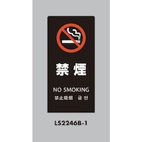 �q�J���@���@�X�^���h�T�C���@�k�r�T�C���@�u���b�N�@�։�