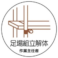 jbg@jbg@ƎC҃XebJ[@ǵ@ooXebJ[@RTU@Qg