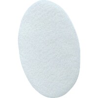 重松製作所 シゲマツ ペイントメイトフィルタS (10枚入)