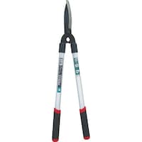 ܏\nHƁ@oqtl`m@ȉ~A~STOnh@PTO͌^