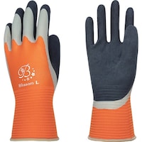 aR[|[V@g@VRSw܁@o[O[u@k