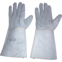 ӂ܁@ӂ@SOU@vnځ@@Tw@O^Cv