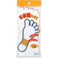 ӂ܁@ӂ@vkW@NiTVj@T{w@EP