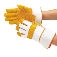 �����ӂ���܁@�����ӂ��@�S�P�T�@�v��@�D���p