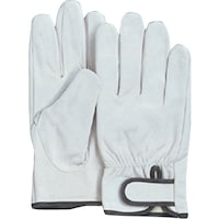 ӂ܁@ӂ@iv@WRT@ȁ@W[@iokj@l