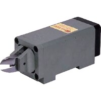 {SH@iC@XChG[jbp{̂beT