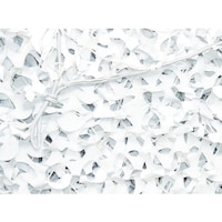 �J���V�X�e���Y�@�b�`�l�n�@�y���ؔp�ԁz�v���@���M�����[�w�~���^���[�@�X�m�E�@�R���w�R��