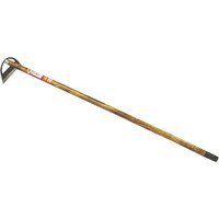 �󍁍H�Ɓ@���ہ@�ہ@�W���j�A�[���z�[�P�O�T�O���t