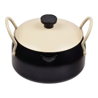 天ぷら鍋 16cm IH対応 鉄製 蓋付き×2