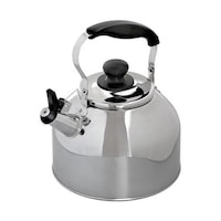 パール金属 ヤカン 笛吹きケトル 3.7L 広口タイプ デイトナプラス ステンレス製 IH対応