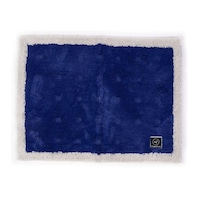 バスマット 乾度良好 Ag+ ブルー×2