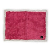 オカ バスマット 乾度良好 Ag+ クリーンフット 50×70cm ピンク