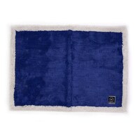 オカ バスマット 乾度良好 Ag+ クリーンフット 50×70cm ブルー