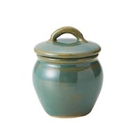 丸利玉樹利喜蔵商店 保存瓶 120ml Sサイズ 常備菜入れ Jyobi 漬物容器 グリーン グリーン