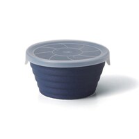 丸利玉樹利喜蔵商店 保存容器 抗菌 270ml デリボックス S ネイビー