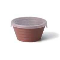 丸利玉樹利喜蔵商店 保存容器 抗菌 270ml デリボックス S レッド