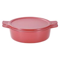 パール金属 電子レンジ調理器 15cm 浅型 オーブン対応 レンジ鍋 レッド