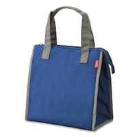 サーモス サーモス ランチバッグ 保冷 角型 5L RFC005 ダークブルー