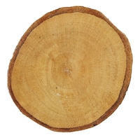 gR[|[V@R[X^[@PO@ؐ@}S[Ebh@uE