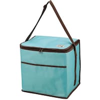 パール金属 保冷バッグ 24L クーラーバッグ CSシャルマン キャプテンスタッグ ミントグリーン