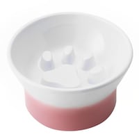 �ۗ��ʎ����쑠���X�@�t�[�h�{�E���@�A�y�e�B�@���H���h�~�@�v���[�g�@���@�L�@�����@�z���C�g