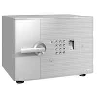 エーコー 家庭用耐火金庫指紋認証ダブルロックDFS1FE