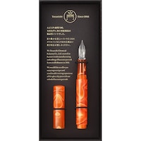 寺西化学工業 ギターガラスペン オーロラキャップ付 GLAACOR