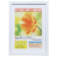 イワタ 木製 額縁 ガーベラ B5/A4対×10