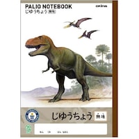 オキナ ダイナソじゆうちょうC×20