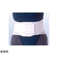 アシスト ウエストサポート(Nパッケージ) S 01666 01666 1本