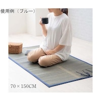 イケヒコ おでかけ畳シート 70×150cm