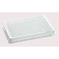 Gbyht@l@RWS^eC@J[XC@qlq@EFfUCC@obq@C@WO@iT܁~PU@j@OORO@UQPDPOV@PpbN