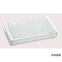 Gbyht@l@RWS^uC@J[XC@qlq@EFfUCC@rC@WO@iT܁~PU@j@OORO@UQQDROW@PpbN