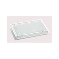 �G�b�y���h���t�@�l�������������������@�R�W�S�^�u�o�o�C�@�o�������������k���a�������C�@�o�b�q�@�����������C�@�W�O���i�T�܁~�P�U���j�@�O�O�R�O�@�U�Q�S�D�R�O�O�@�P�p�b�N