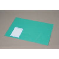 アイリスオーヤマ デスクマット クリア(PVCシート)/緑(下敷き) DMT1369PN
