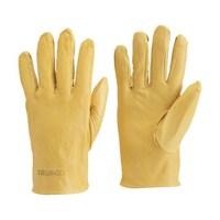 �A�Y�����@���Ȃ��v��܁@�N���X�g���v���@�t���[�T�C�Y�@�C�G���[�@�s�x�j�j�x