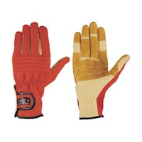 �V�����@�Z�C�o�[�j�f�V�O�I�����W�@�k���@�j�f�V�O�n�q�@�k