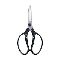 �A���X�@����n�T�~�@�y�ʐA���������O�^�C�v�@�t�U�O�O�k�@�t�U�O�O�k�@�P��