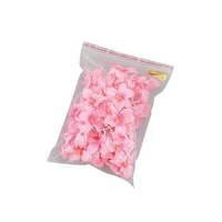 ��m�{�N���X�^���@�t�����[�s�b�N�@���R�O�W�@�s���N�i�T�O�{���j�@�P�X�P�W�X�O�O